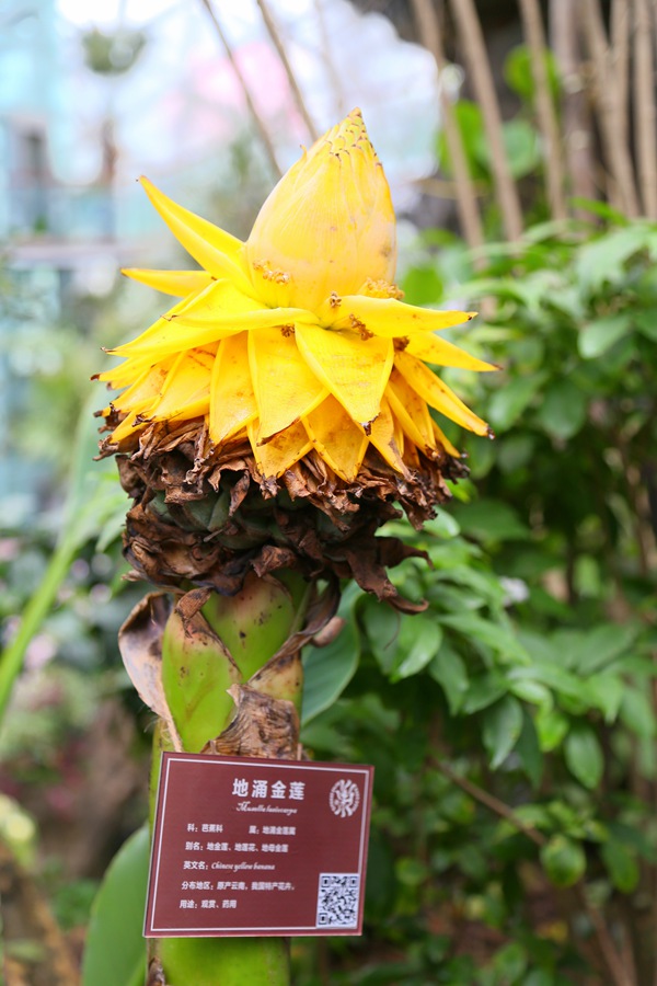 IMG_0095_副本.jpg