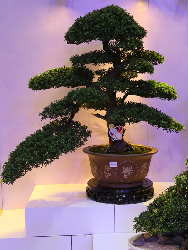 IMG_0216_副本.jpg
