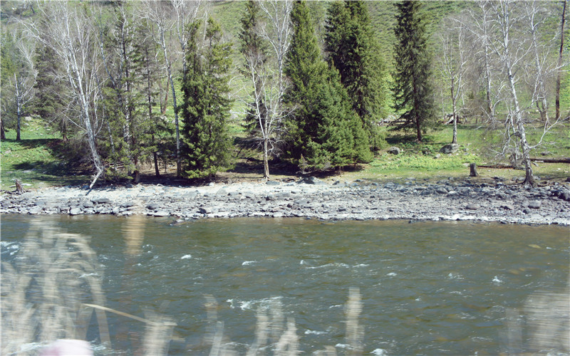 DSC02579.jpg