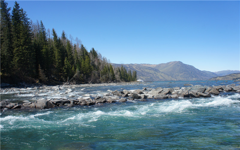 DSC02650.jpg