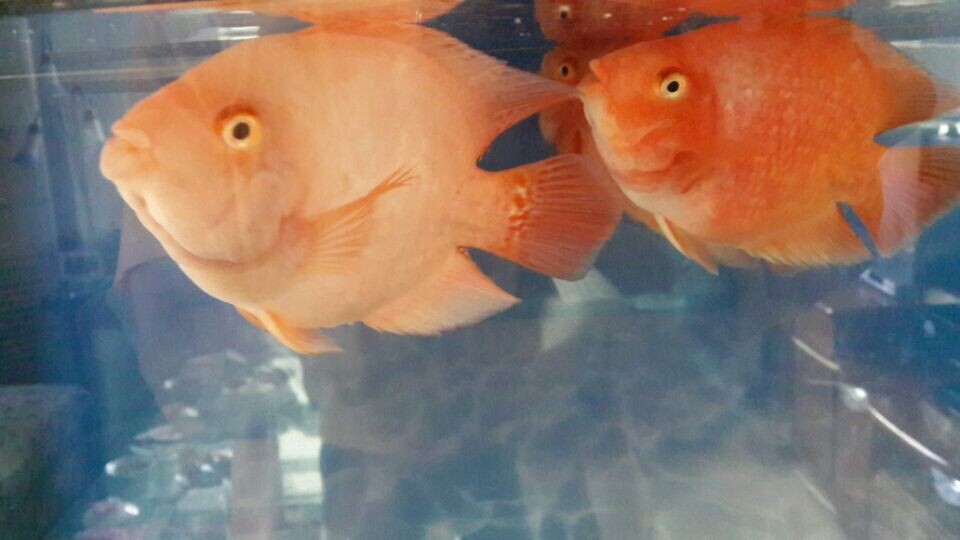 QQ图片20140528171800.jpg