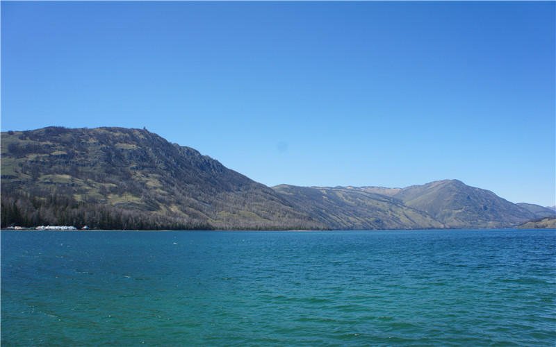 DSC02721.jpg