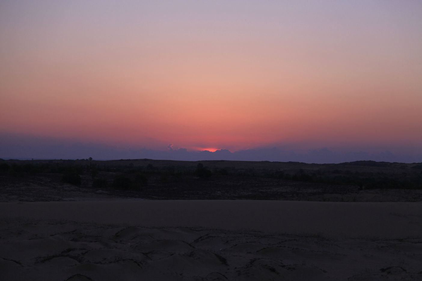 IMG_7504.JPG