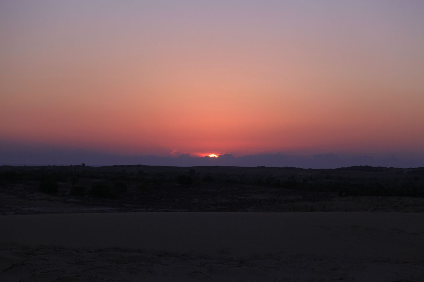 IMG_7505.JPG