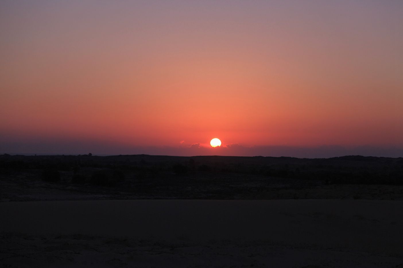 IMG_7517.JPG