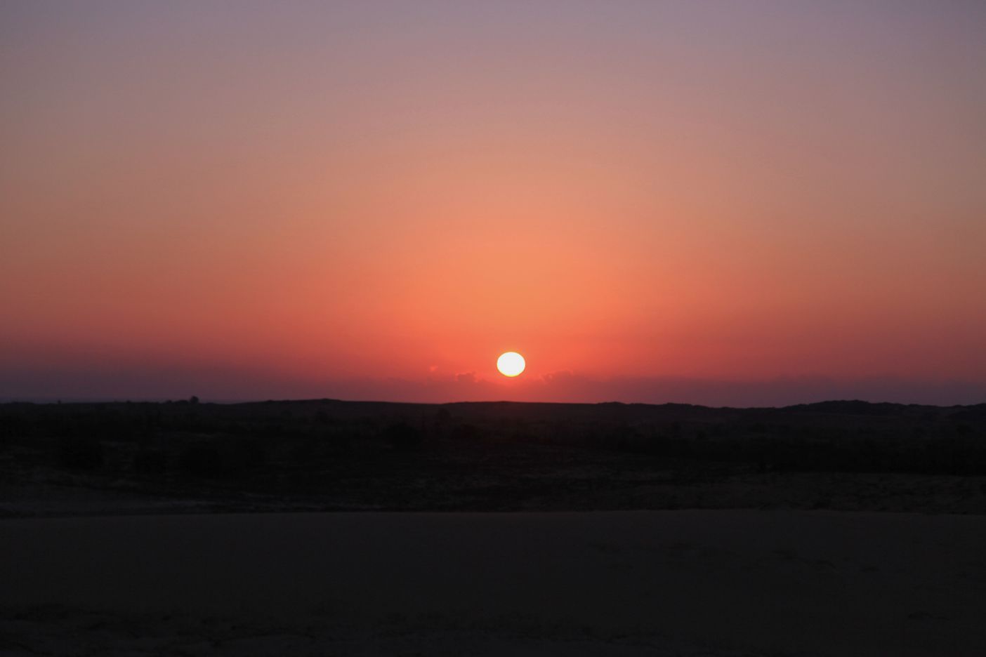 IMG_7520.JPG