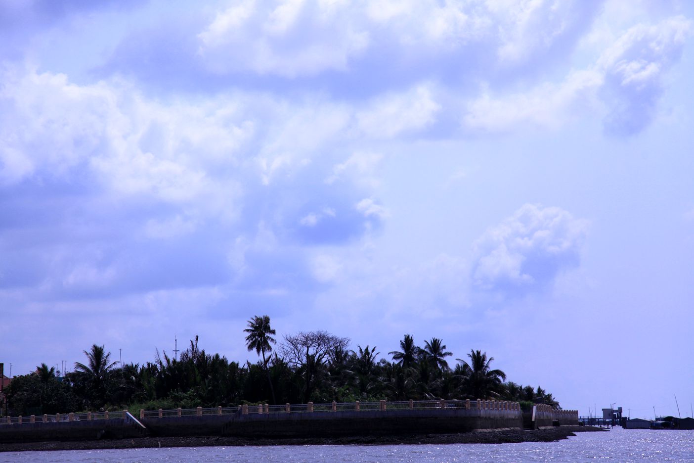 IMG_7675.JPG