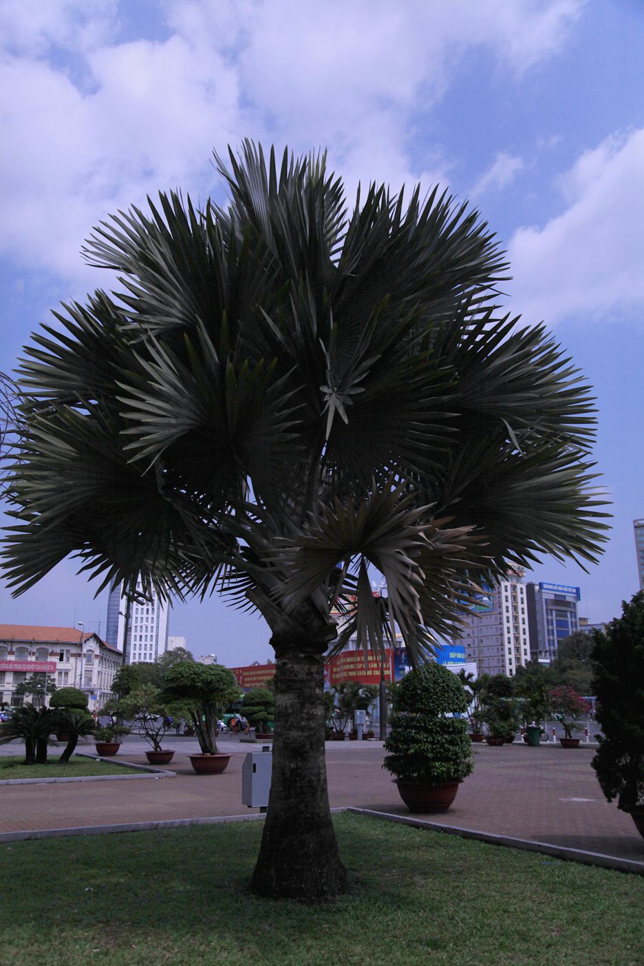IMG_7834.JPG