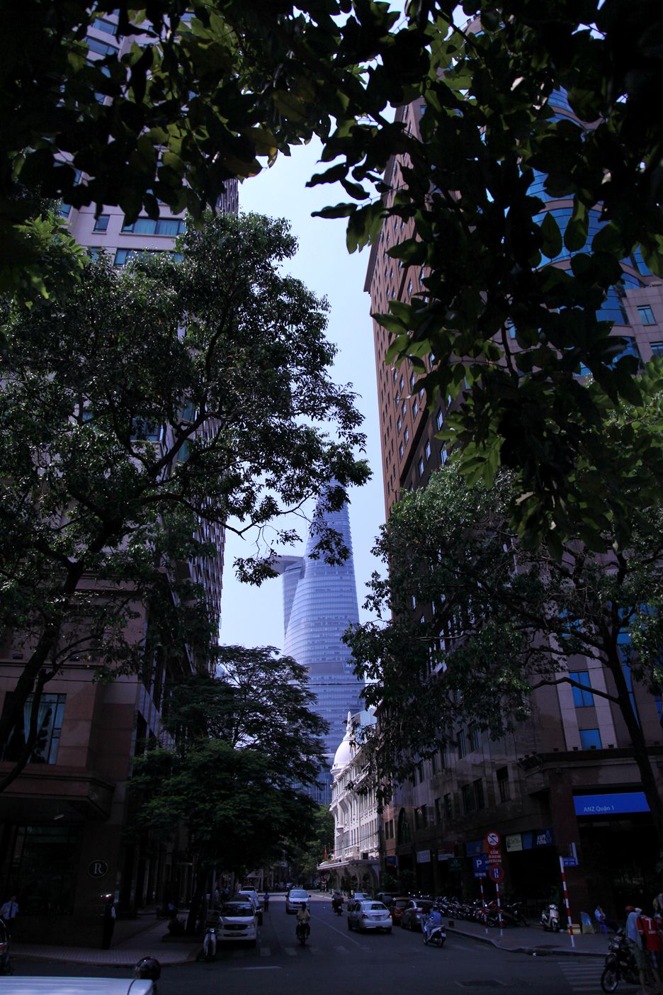 IMG_7765.JPG