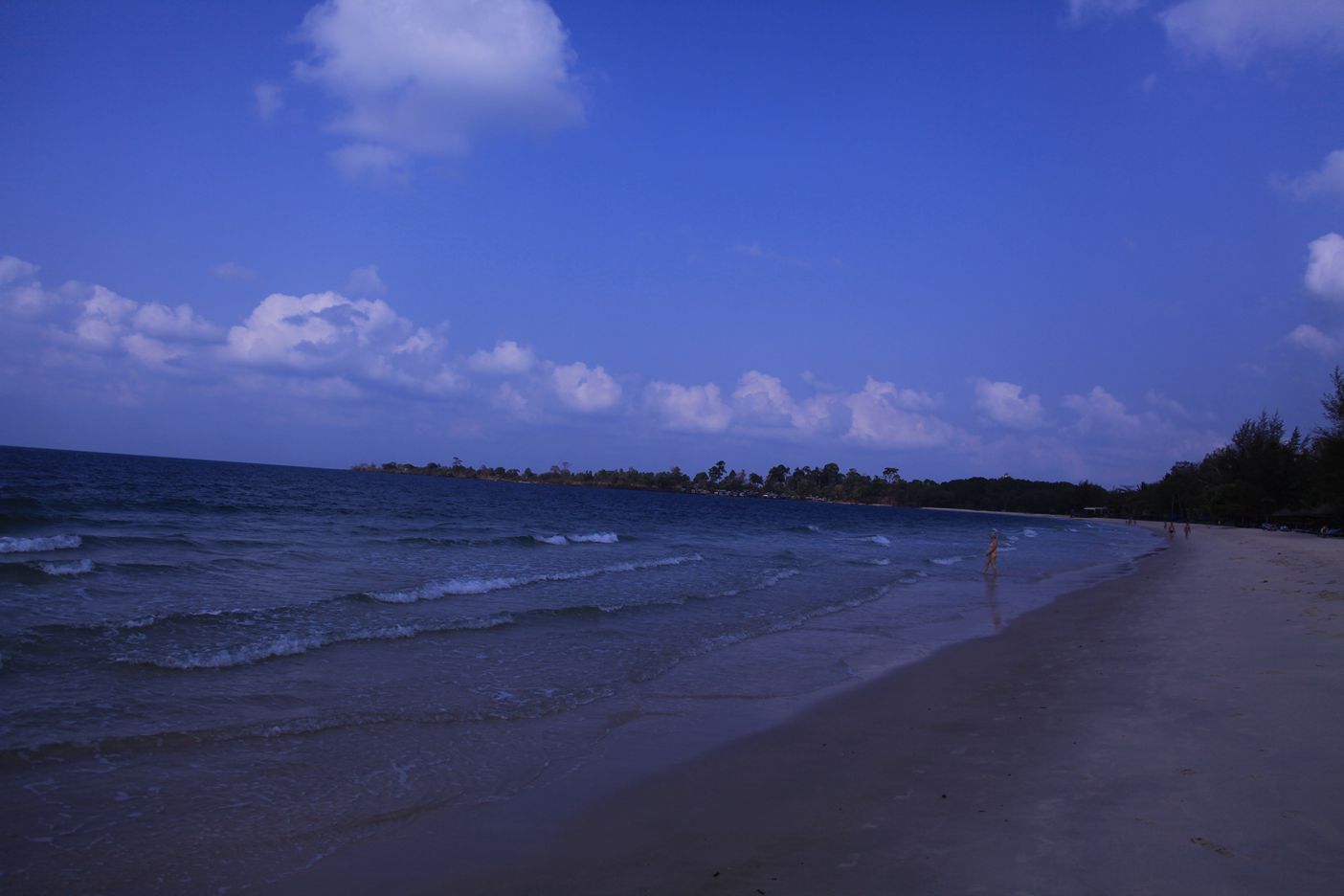 IMG_7997.JPG