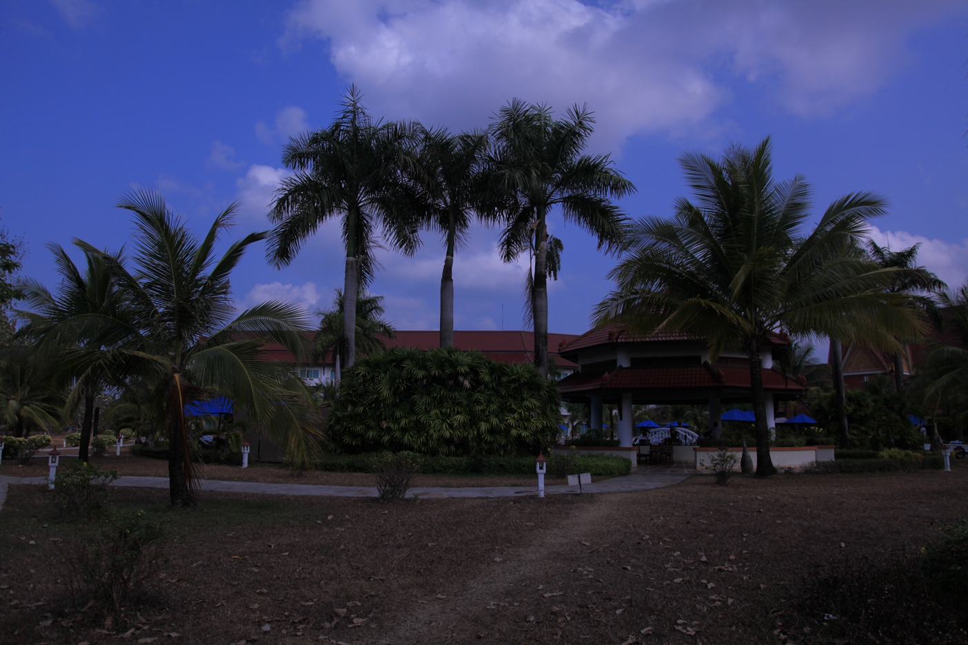 IMG_8001.JPG