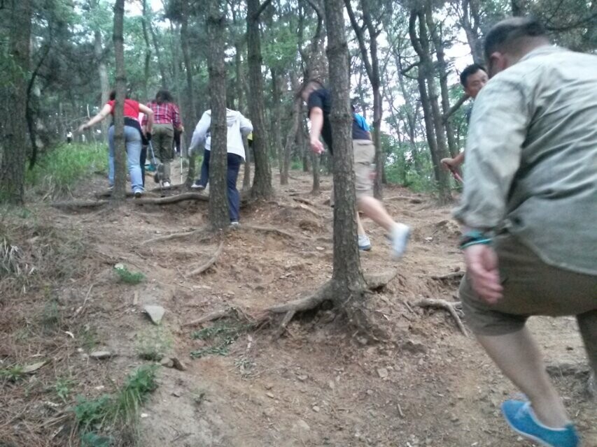 QQ图片20140612153613.jpg