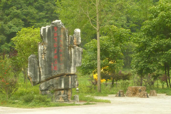P1080681.JPG