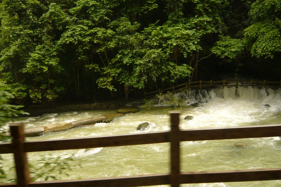 P1080694.JPG
