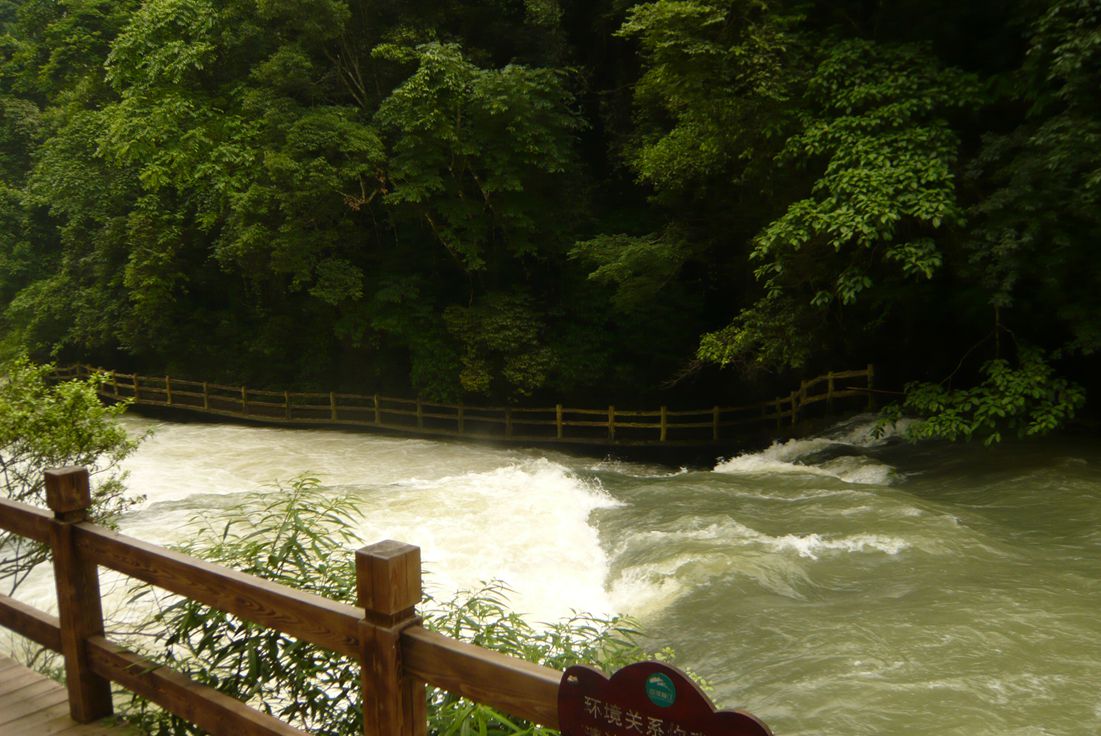 P1080695.JPG