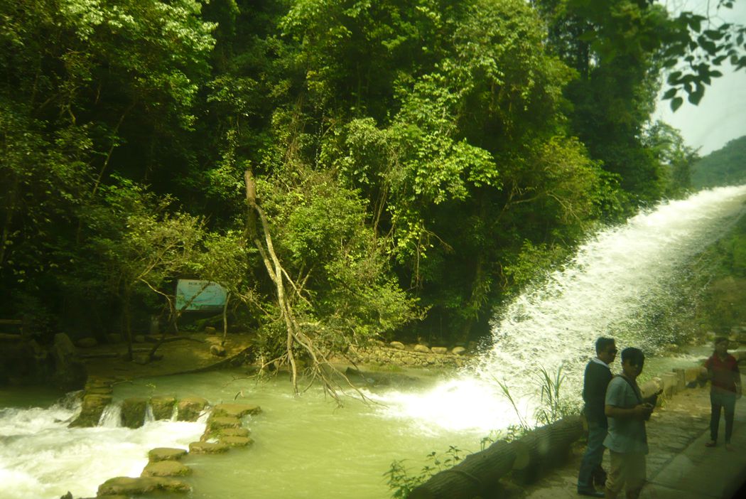 P1080733.JPG