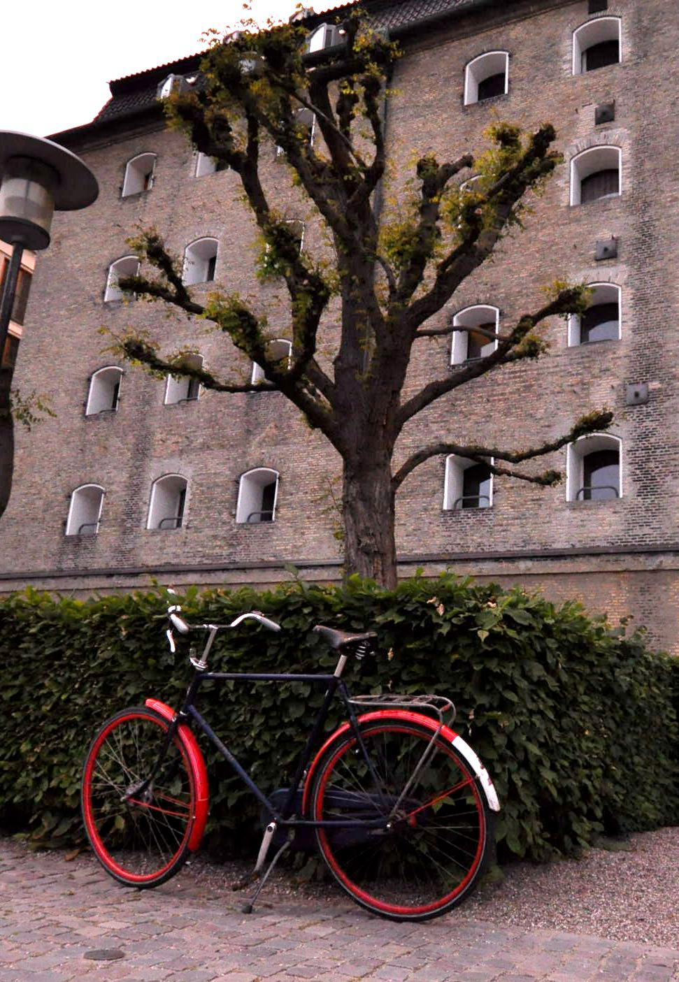 哥本哈根的自行车野心 2.jpg