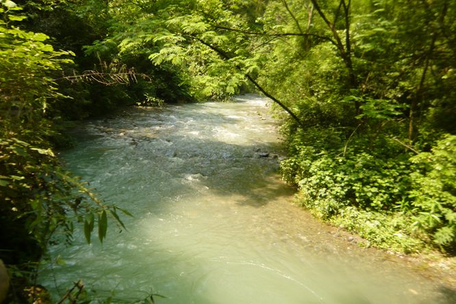 P1090013.JPG