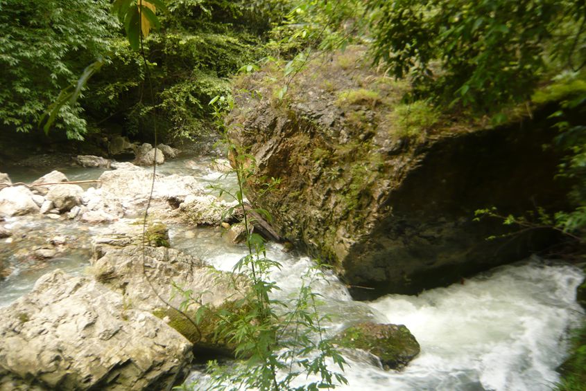 P1090015.JPG