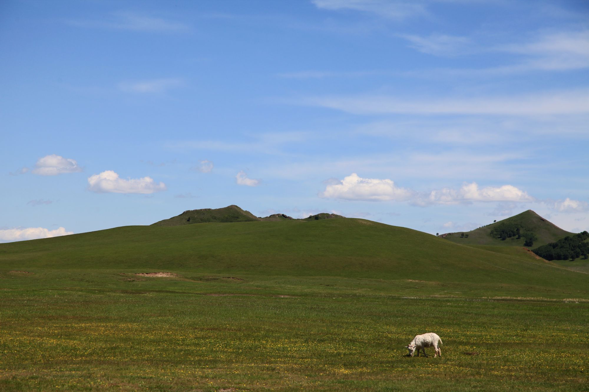 避暑山庄，乌兰布统 359.jpg