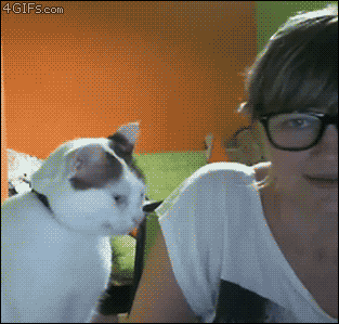 98.gif