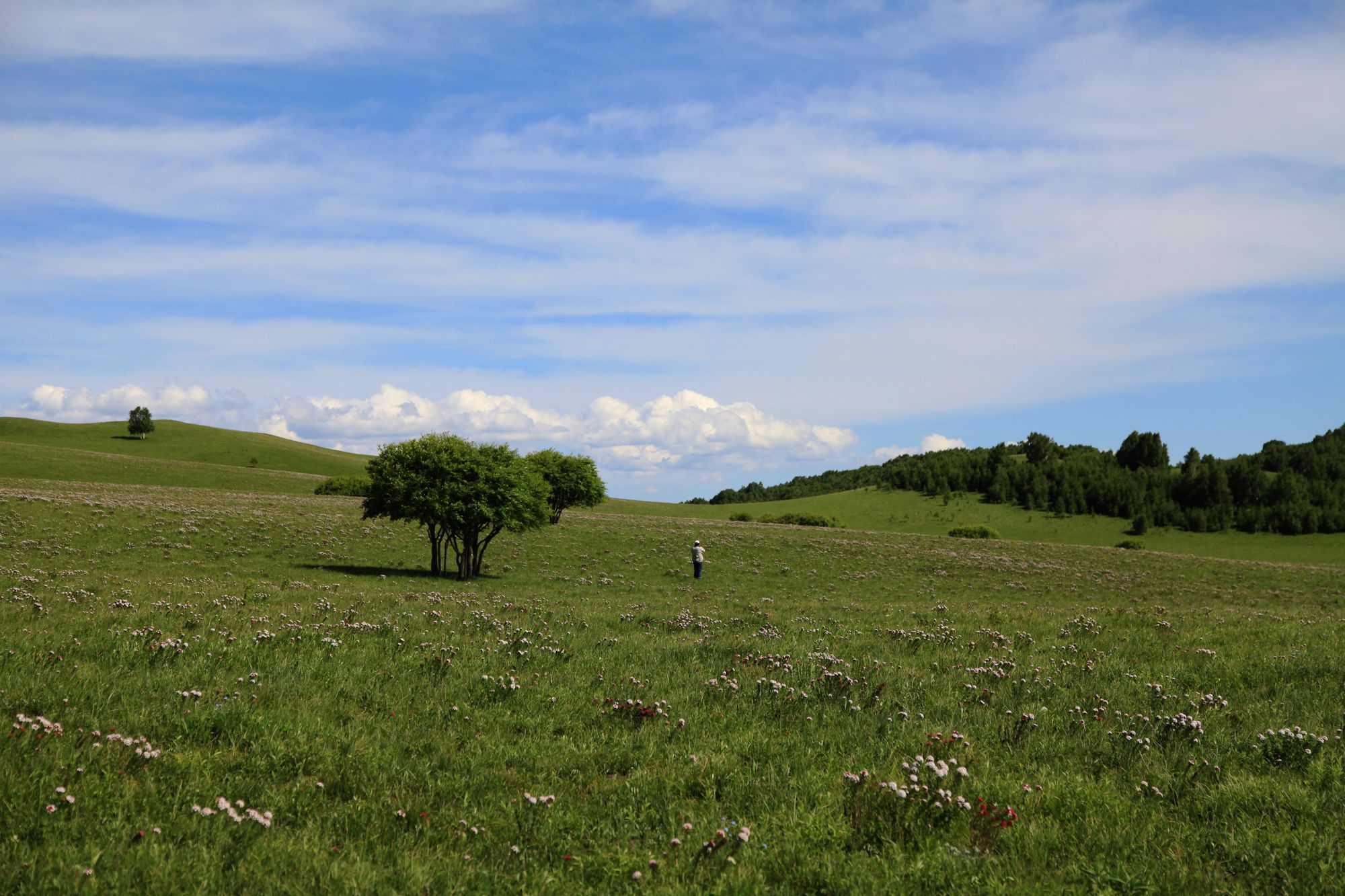 避暑山庄，乌兰布统 541.jpg