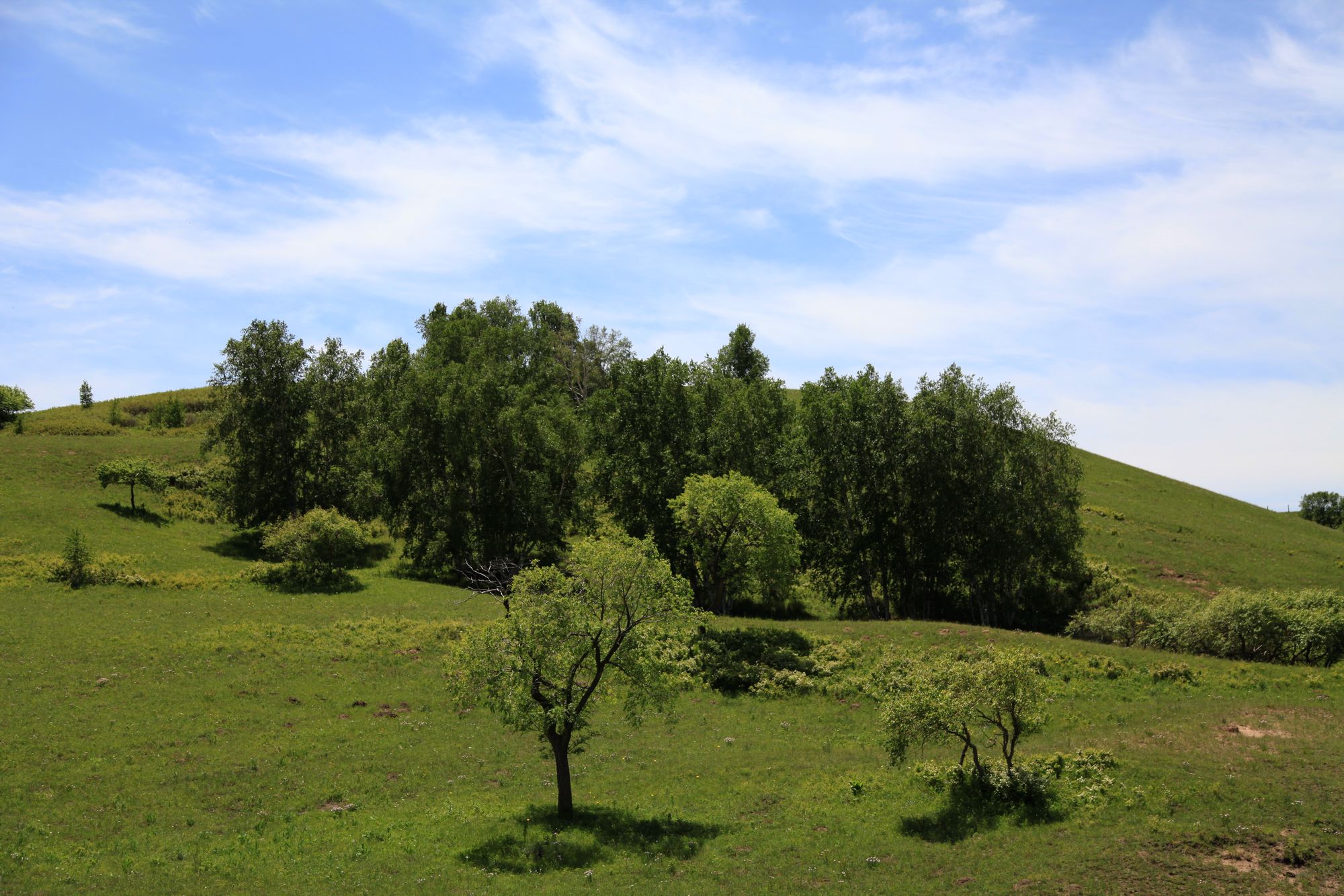 避暑山庄，乌兰布统 750.jpg