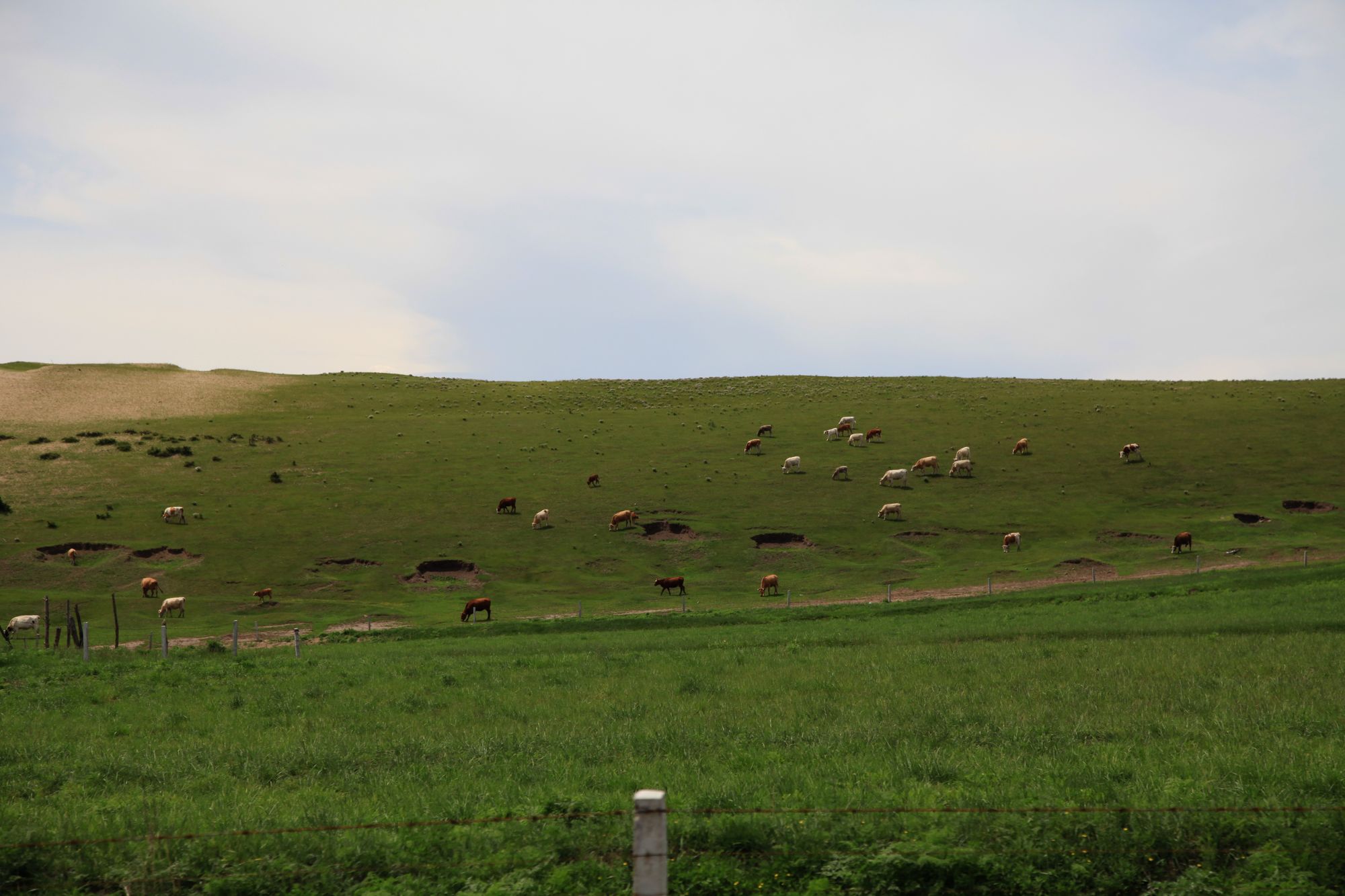 避暑山庄，乌兰布统 808.jpg