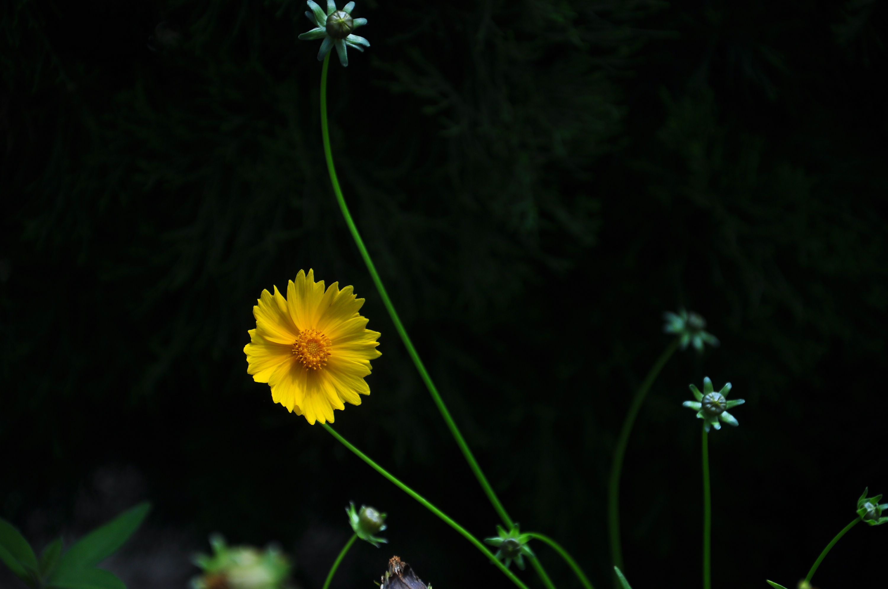 nEO_IMG_DSC_1302.jpg