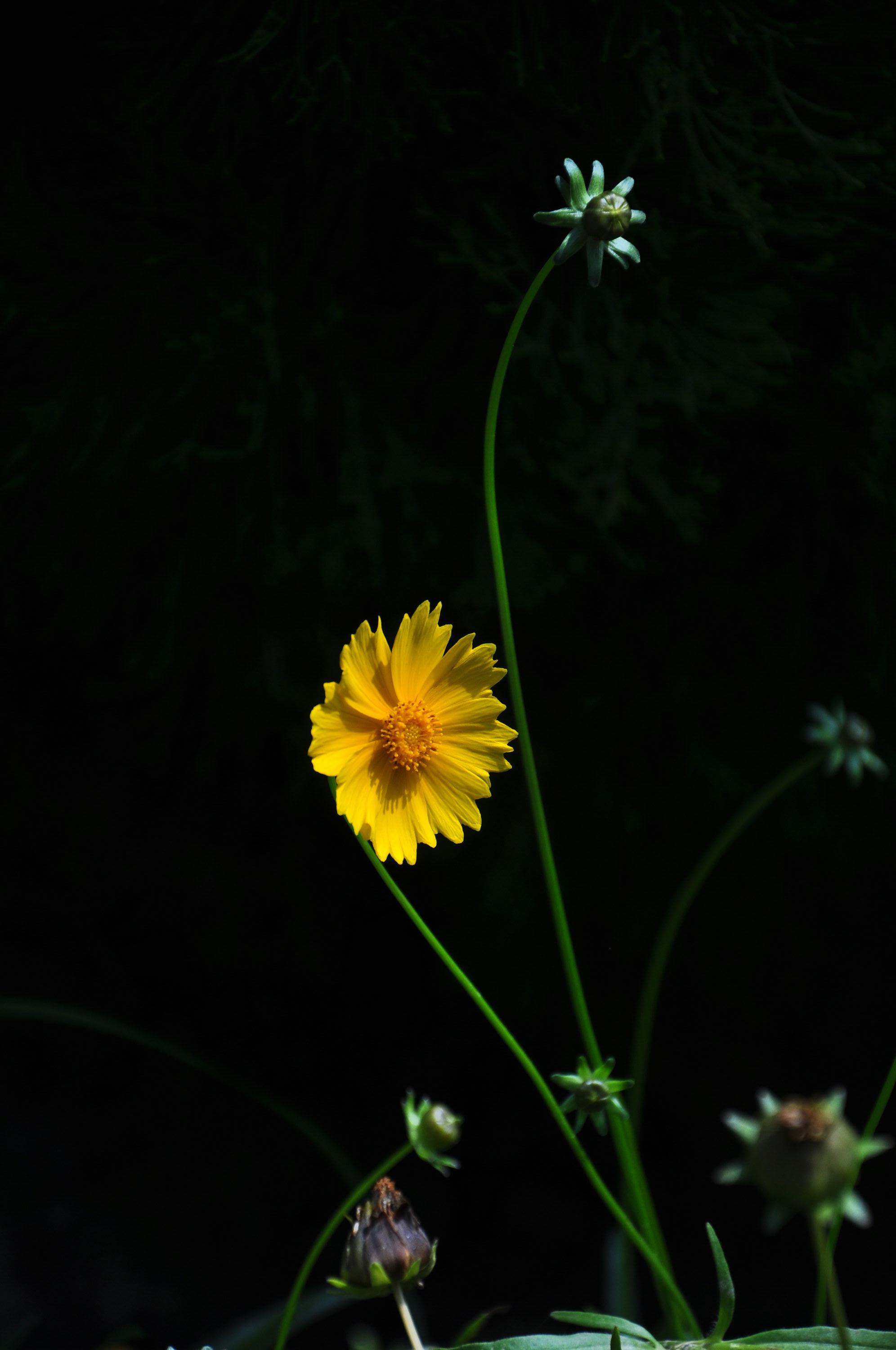 nEO_IMG_DSC_1300_旋转.jpg