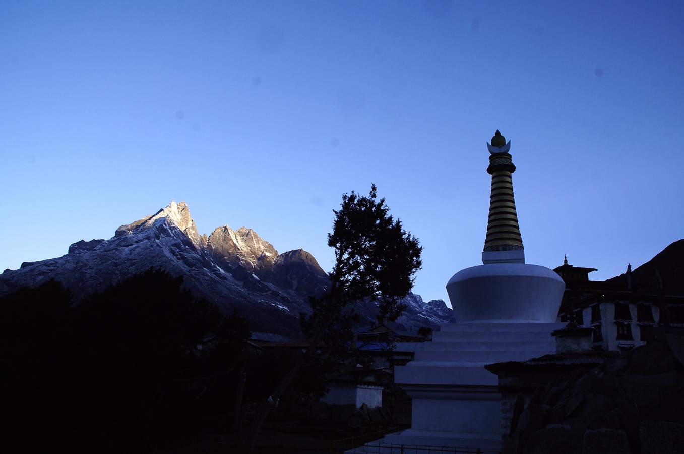 _DSC8529_副本.jpg