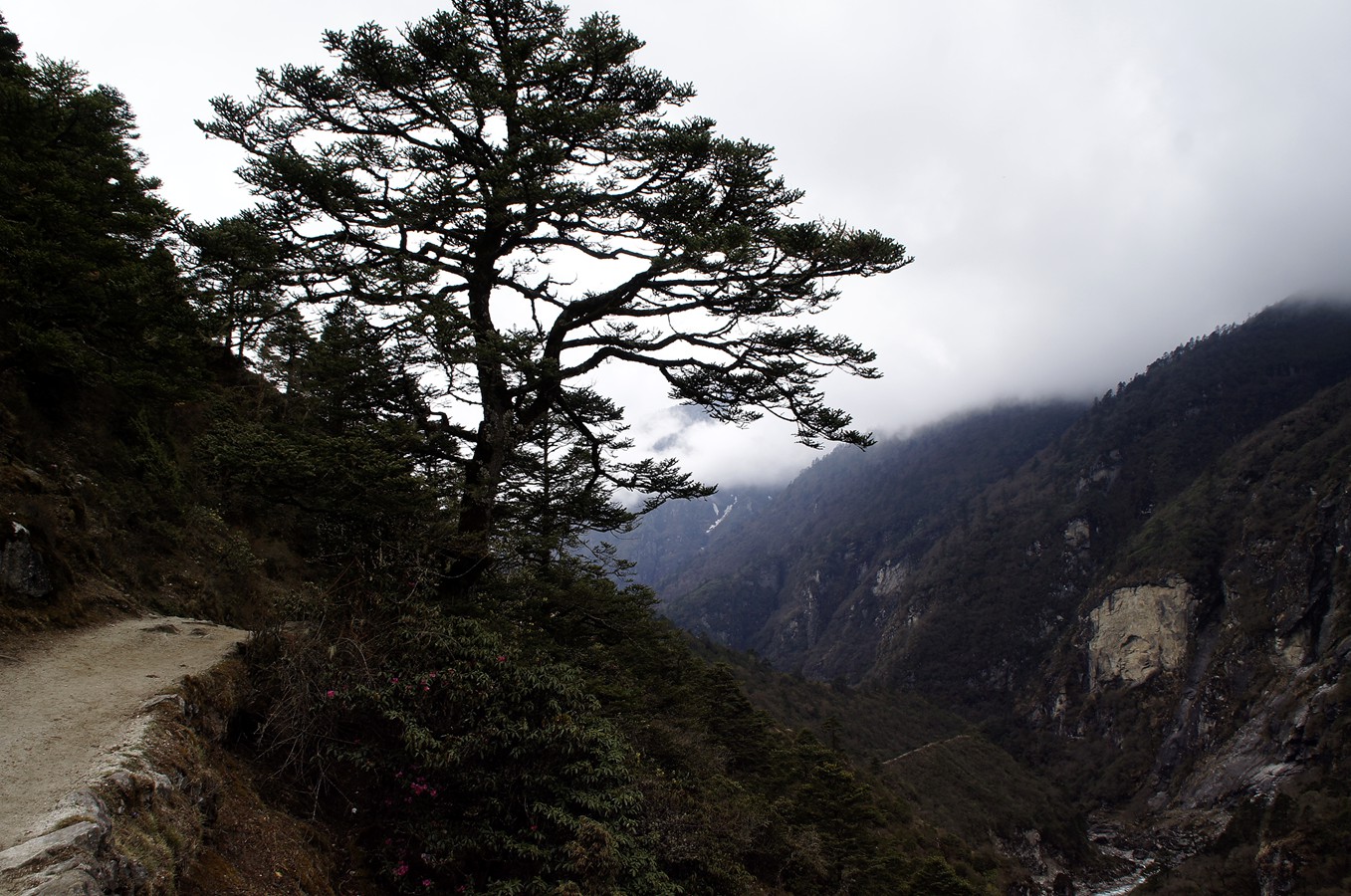 _DSC9059_副本.jpg