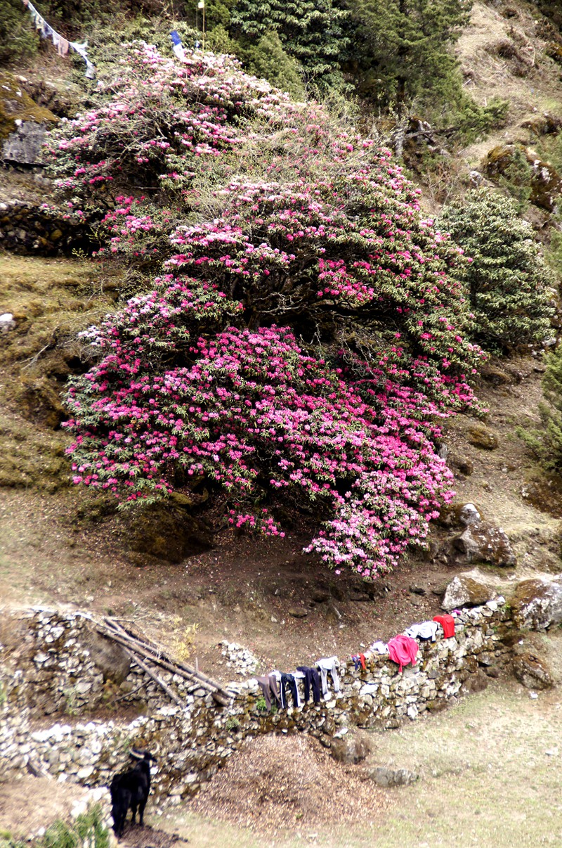 _DSC9062_副本.jpg