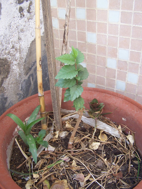 100_9456.JPG