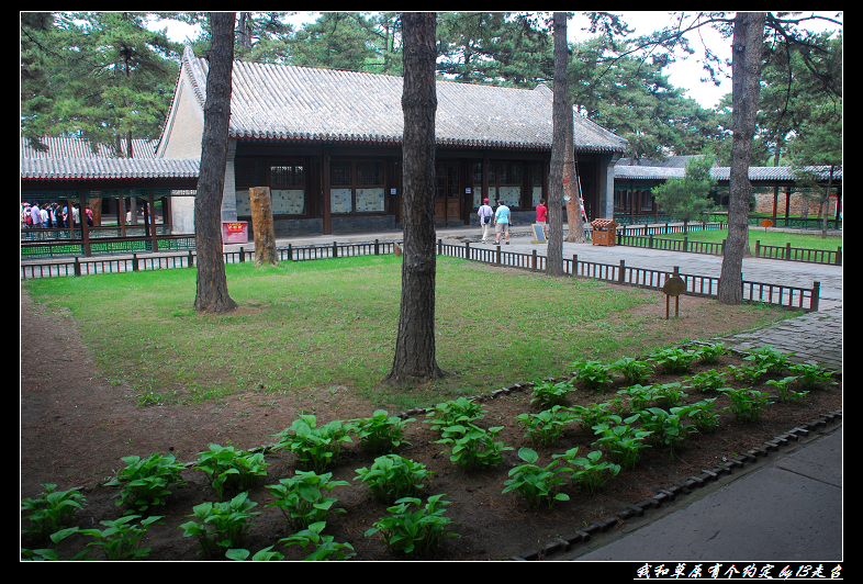 DSC_2473.jpg