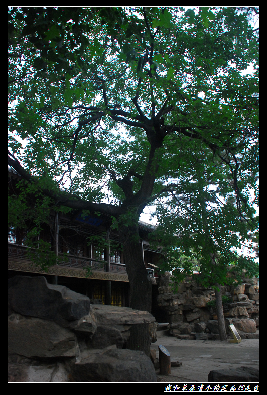 DSC_2496.jpg