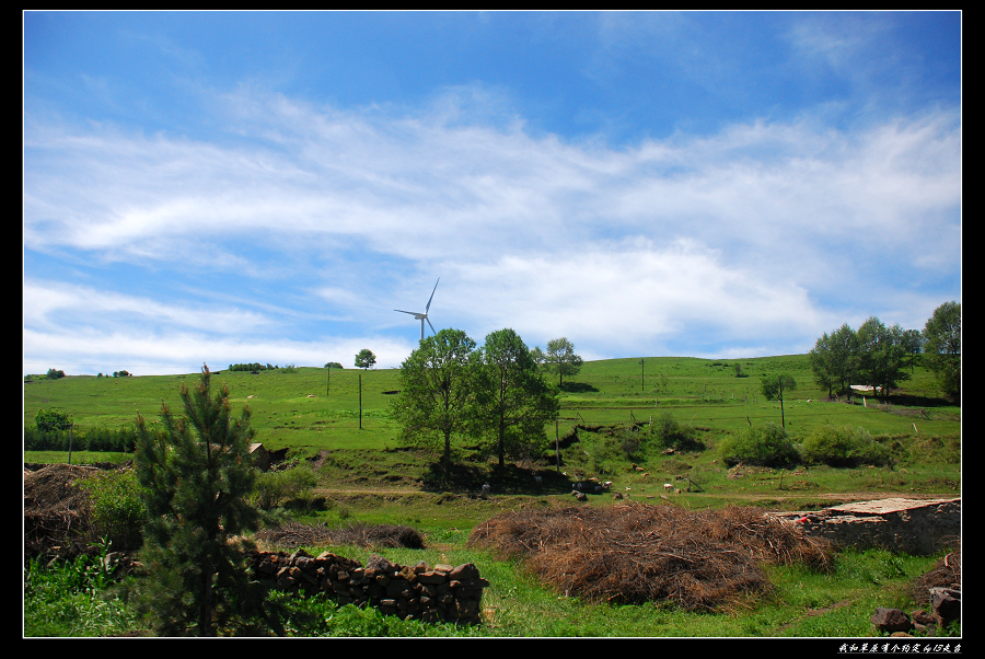 DSC_2741.jpg