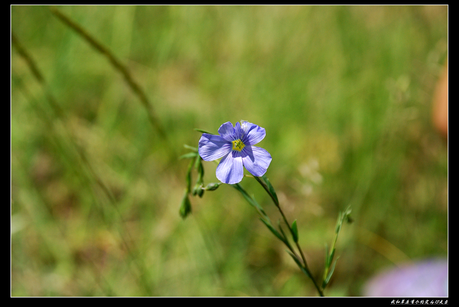 DSC_2772.jpg