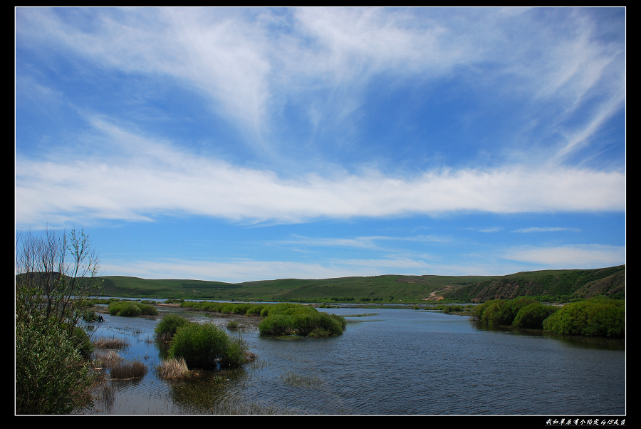 DSC_2818.jpg