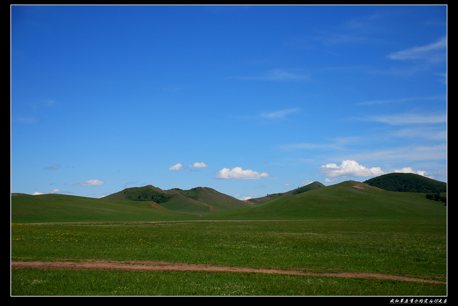 DSC_2900.jpg