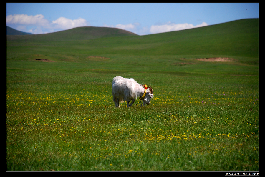 DSC_2904.jpg