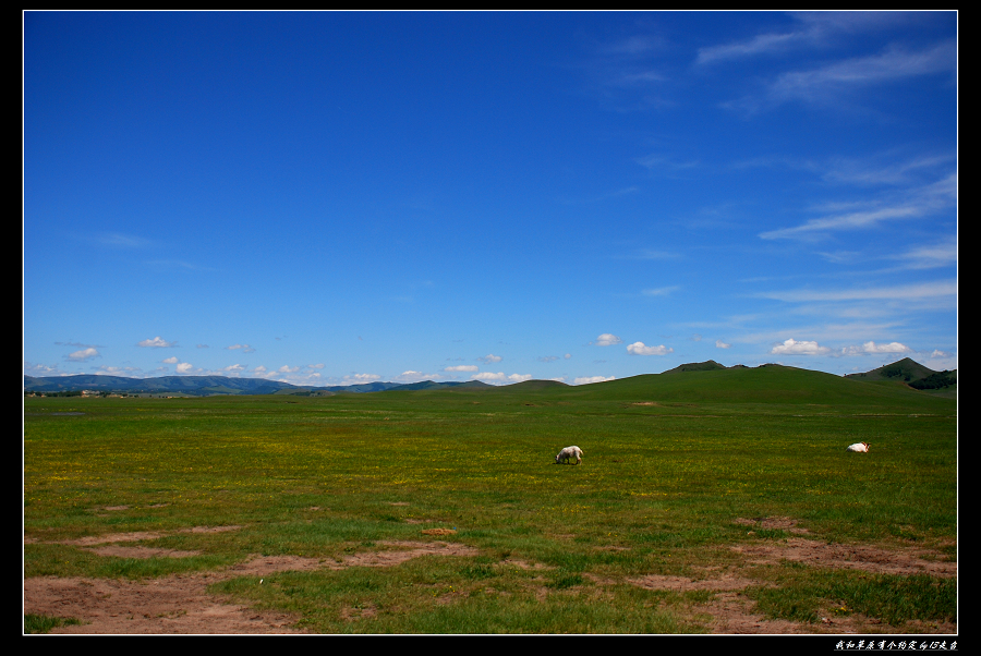 DSC_2905.jpg