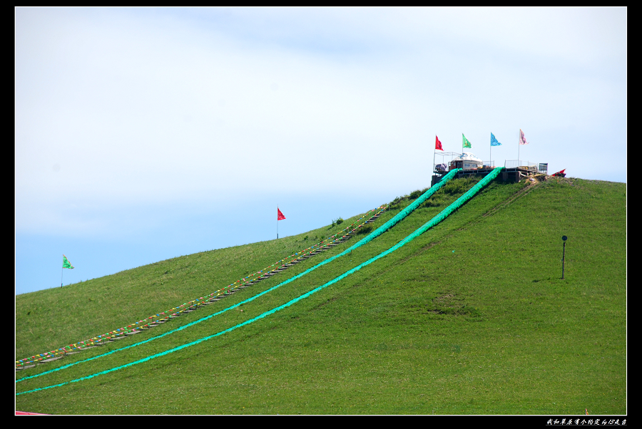 DSC_3096.jpg