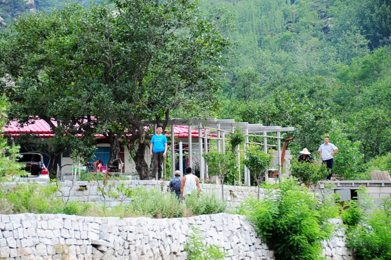 dsc_0170_conew2.jpg