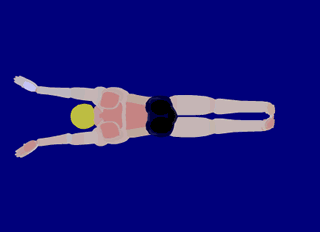 9.gif