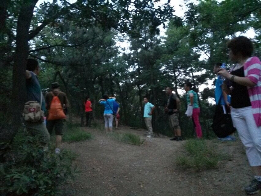 QQ图片20140717080221.jpg