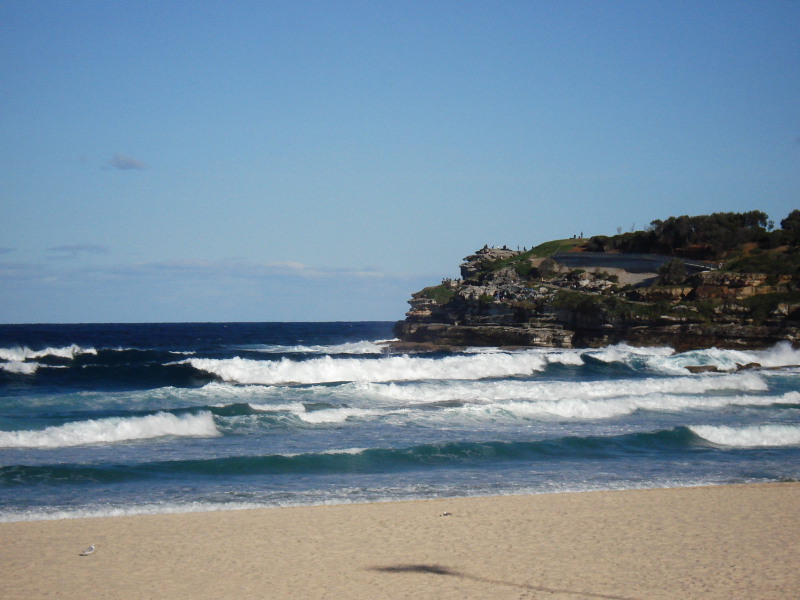 DPP_1049.JPG
