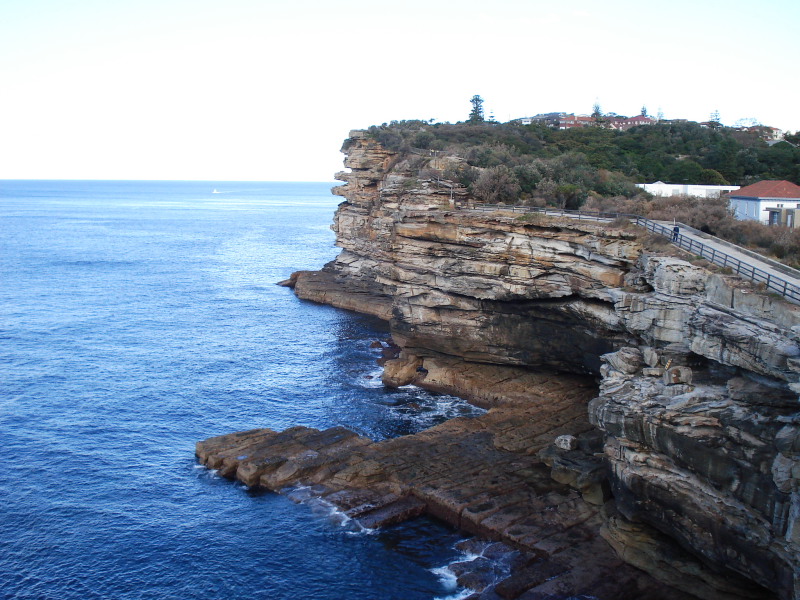 DPP_1017.JPG