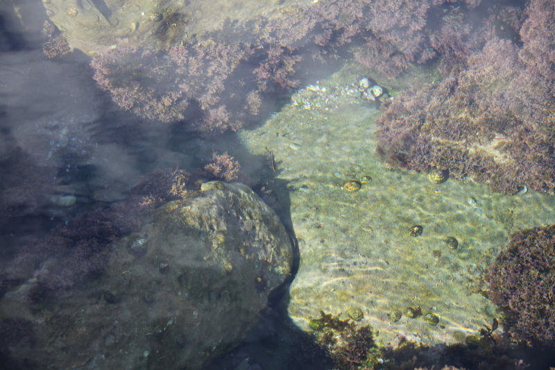 DPP_1090.JPG