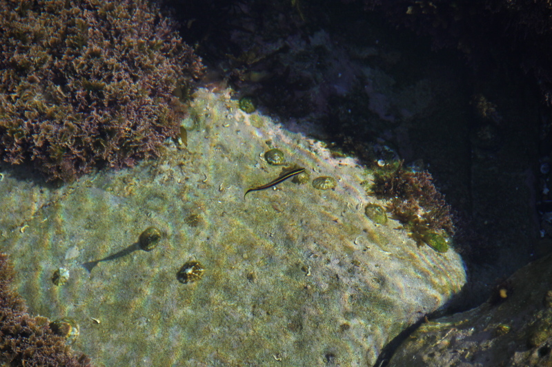 DPP_1091.JPG